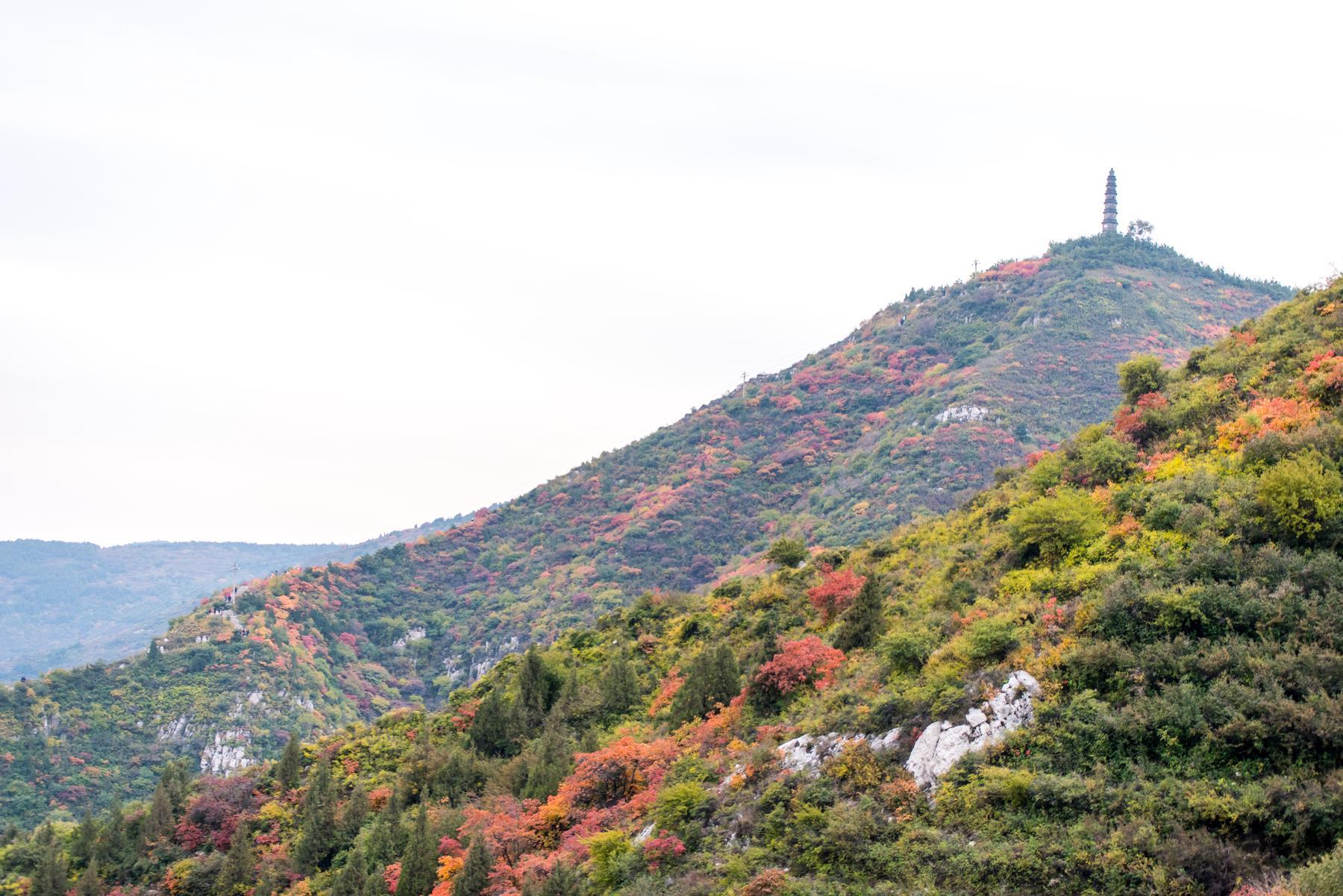 崛围山 - 星际高球联盟-中国精英人士高尔夫旅游度假实景