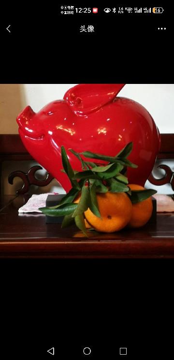 用户头像