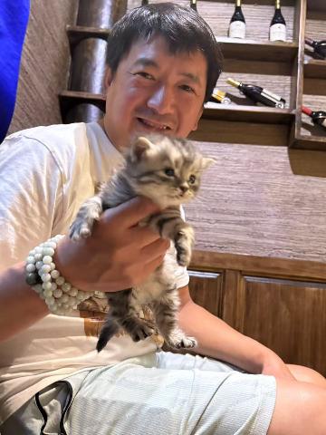 用户头像